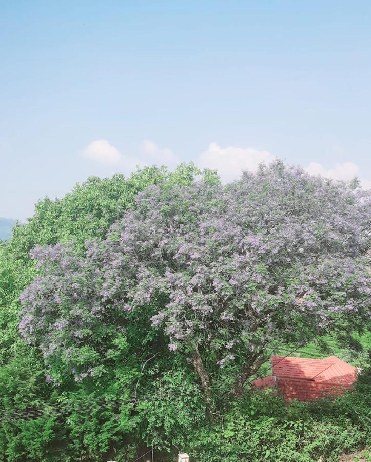 Camellia Heights 1&2 Bed and Breakfast Coonoor Exteriör bild