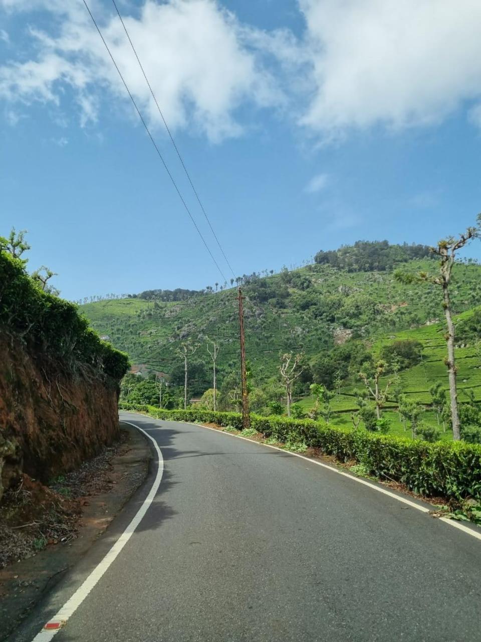 Camellia Heights 1&2 Bed and Breakfast Coonoor Exteriör bild