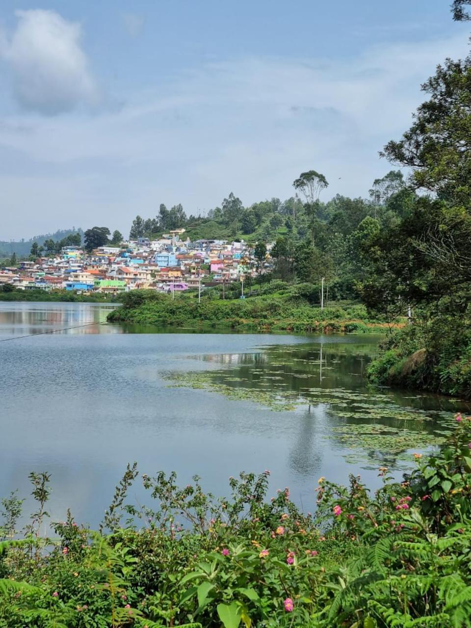 Camellia Heights 1&2 Bed and Breakfast Coonoor Exteriör bild