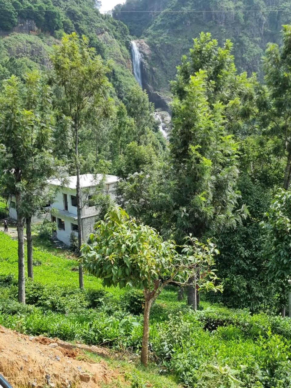 Camellia Heights 1&2 Bed and Breakfast Coonoor Exteriör bild